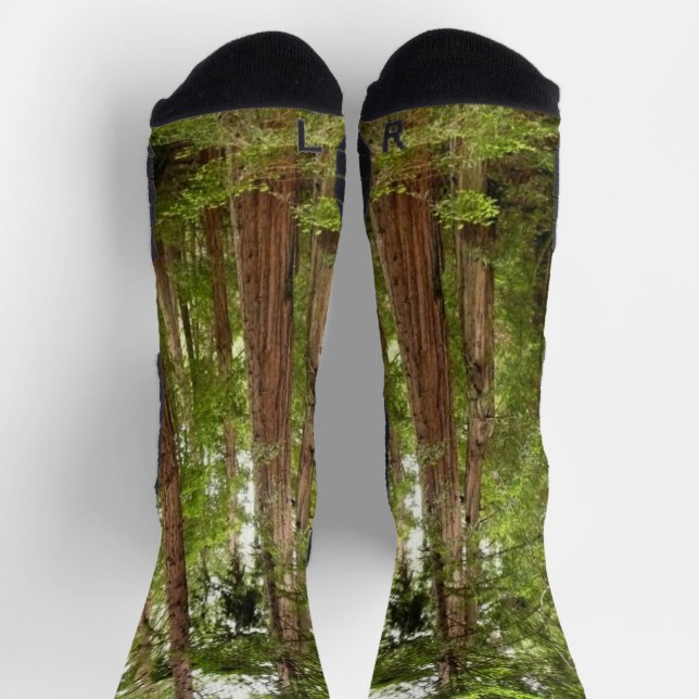 Up to Redwoods I at Muir Woods National Monument Socks (Top)