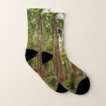 Up to Redwoods I at Muir Woods National Monument Socks