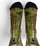 Up to Redwoods I at Muir Woods National Monument Socks