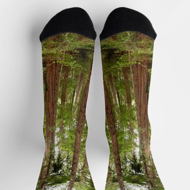Up to Redwoods I at Muir Woods National Monument Socks (Top)