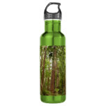 Up to Redwoods I at Muir Woods National Monument Stainless Steel Water Bottle
