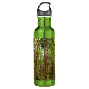Up to Redwoods I at Muir Woods National Monument Stainless Steel Water Bottle