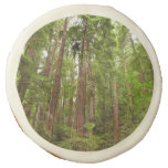 Up to Redwoods I at Muir Woods National Monument Sugar Cookie