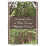 Up to Redwoods I at Muir Woods National Monument Throw Blanket