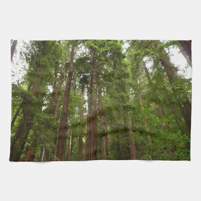 Up to Redwoods I at Muir Woods National Monument Towel (Horizontal)