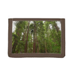 Up to Redwoods I at Muir Woods National Monument Tri-fold Wallet