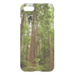Up to Redwoods I at Muir Woods National Monument iPhone SE/8/7 Case