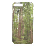 Up to Redwoods I at Muir Woods National Monument iPhone 8 Plus/7 Plus Case