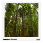 Up to Redwoods I at Muir Woods National Monument Wall Decal