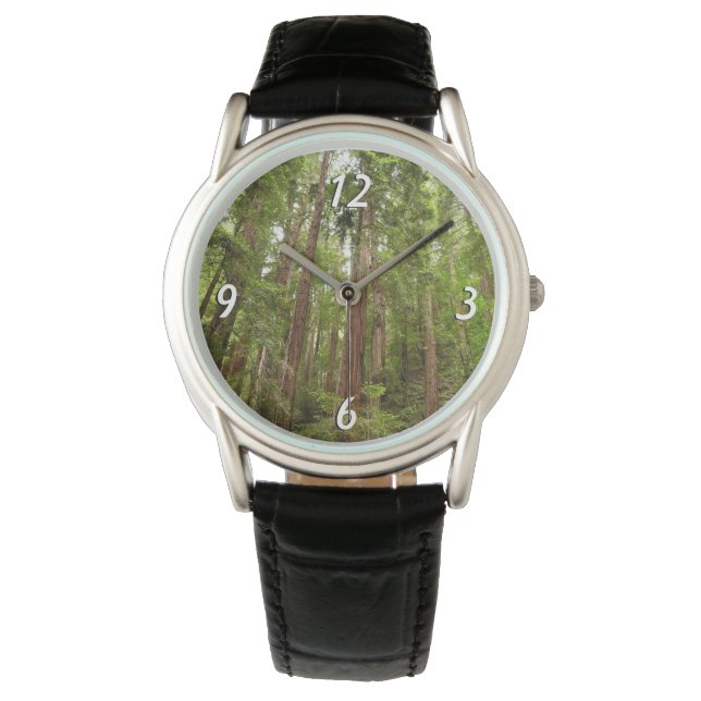 Up to Redwoods I at Muir Woods National Monument Watch (Front)