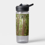 Up to Redwoods I at Muir Woods National Monument Water Bottle