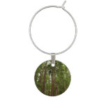 Up to Redwoods I at Muir Woods National Monument Wine Charm