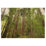 Up to Redwoods I at Muir Woods National Monument Wood Poster