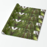 Up to Redwoods I at Muir Woods National Monument Wrapping Paper