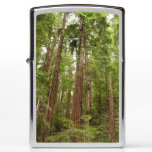 Up to Redwoods I at Muir Woods National Monument Zippo Lighter