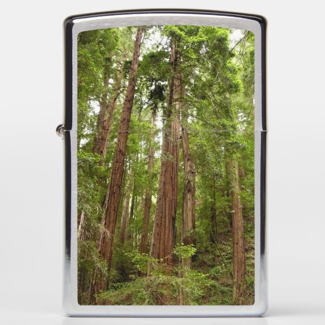 Up to Redwoods I at Muir Woods National Monument Zippo Lighter (Front)