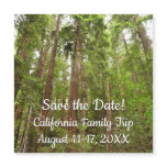 Up to Redwoods I at Muir Woods Save the Date