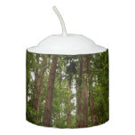 Up to Redwoods I Votive Candle