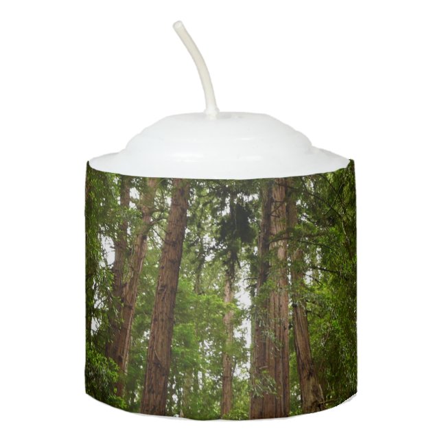 Up to Redwoods I Votive Candle (Front)