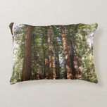 Up to Redwoods II at Muir Woods National Monument Accent Pillow