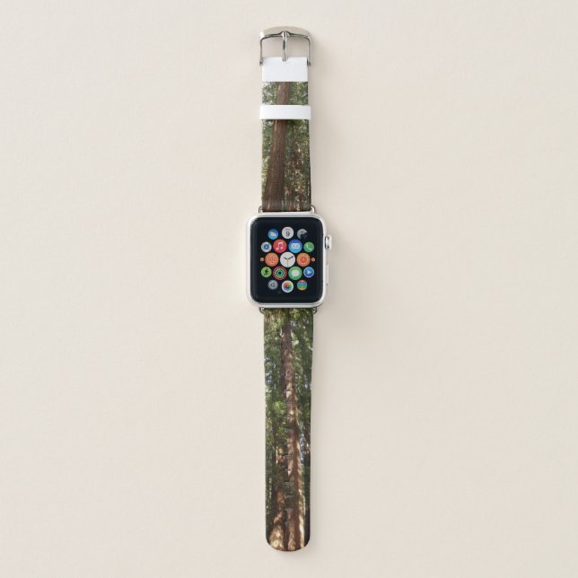Up to Redwoods II at Muir Woods National Monument Apple Watch Band (Front)