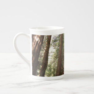 Up to Redwoods II at Muir Woods National Monument Bone China Mug