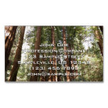 Up to Redwoods II at Muir Woods National Monument Business Card Magnet