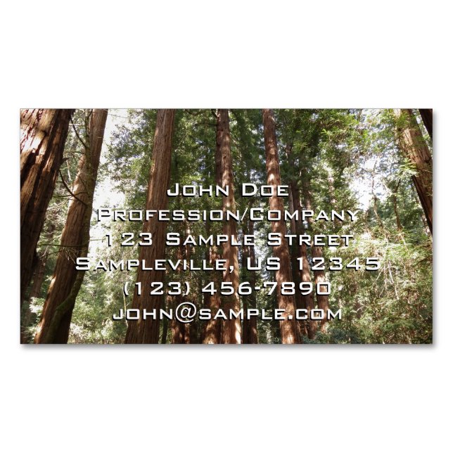 Up to Redwoods II at Muir Woods National Monument Business Card Magnet (Front)