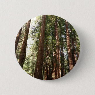 Up to Redwoods II at Muir Woods National Monument Button