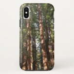 Up to Redwoods II at Muir Woods National Monument iPhone XS Case