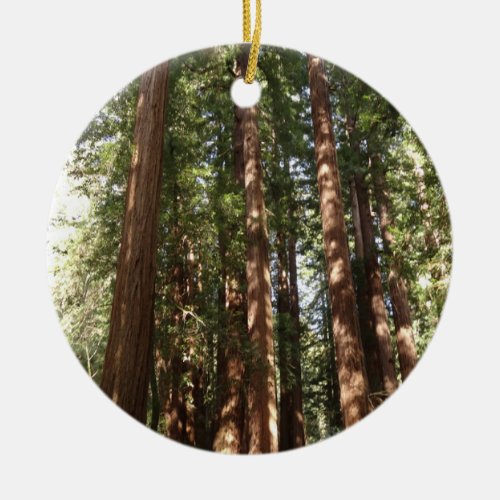 Up to Redwoods II at Muir Woods National Monument Ceramic Ornament