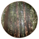 Up to Redwoods II at Muir Woods National Monument Chocolate Covered Oreo