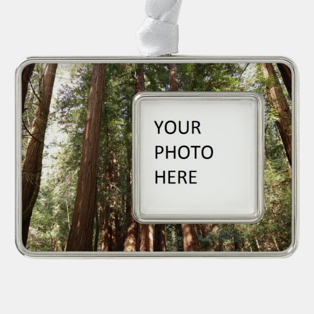 Up to Redwoods II at Muir Woods National Monument Christmas Ornament (Front)