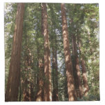 Up to Redwoods II at Muir Woods National Monument Cloth Napkin