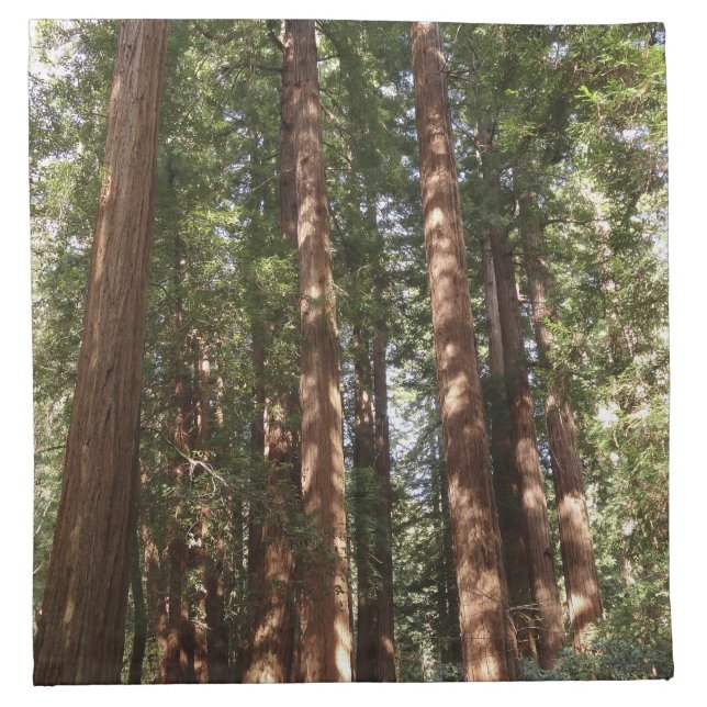 Up to Redwoods II at Muir Woods National Monument Cloth Napkin (Front)
