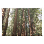 Up to Redwoods II at Muir Woods National Monument Cloth Placemat
