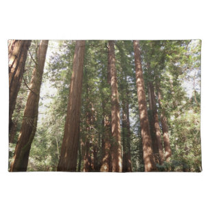 Up to Redwoods II at Muir Woods National Monument Cloth Placemat