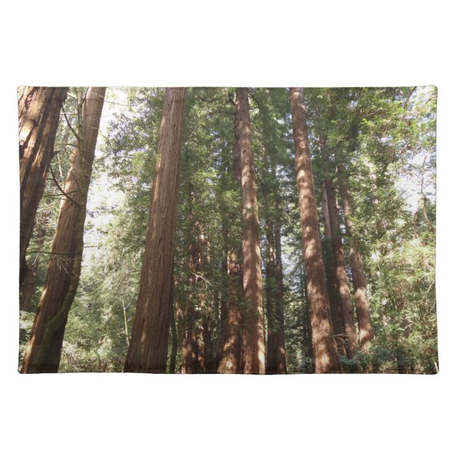 Up to Redwoods II at Muir Woods National Monument Cloth Placemat (Front)