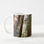 Up to Redwoods II at Muir Woods National Monument Coffee Mug