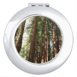 Up to Redwoods II at Muir Woods National Monument Compact Mirror