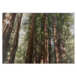 Up to Redwoods II at Muir Woods National Monument Cutting Board
