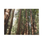 Up to Redwoods II at Muir Woods National Monument Doormat