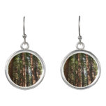 Up to Redwoods II at Muir Woods National Monument Earrings