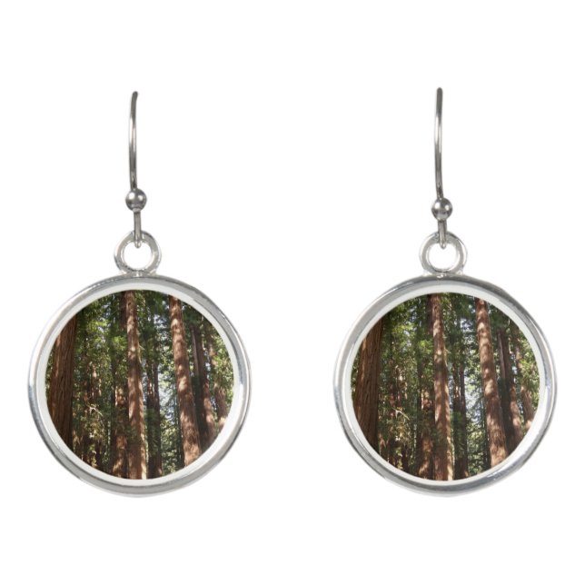 Up to Redwoods II at Muir Woods National Monument Earrings (Front)