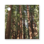 Up to Redwoods II at Muir Woods National Monument Favor Tags