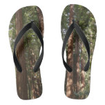 Up to Redwoods II at Muir Woods National Monument Flip Flops