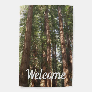 Up to Redwoods II at Muir Woods National Monument Garden Flag