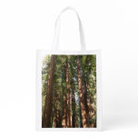 Up to Redwoods II at Muir Woods National Monument Grocery Bag