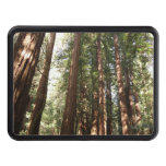 Up to Redwoods II at Muir Woods National Monument Hitch Cover