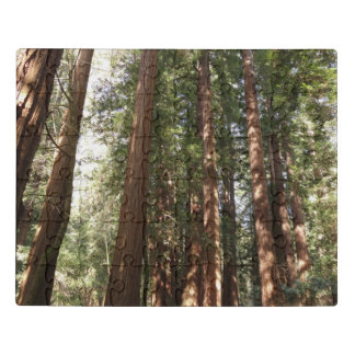 Up to Redwoods II at Muir Woods National Monument Jigsaw Puzzle